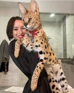 Veronica Perasso Archives - Topics Mag